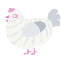 A white and mist chicken with a bar pattern