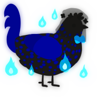 Yoru, a sable and navy chicken with a speckle pattern