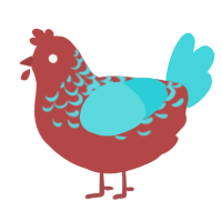 Copper, a red and aqua chicken with a half-lace pattern
