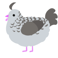 now thats a bird, a mist and grey chicken with a half-lace pattern