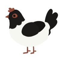 Lakenvelder, a white and sable chicken with a head pattern