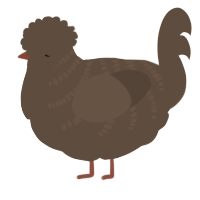 A bark chicken with a half-bar pattern