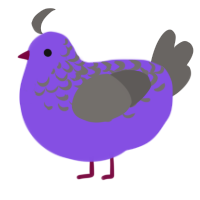 Grape Soda, a blurple and grey chicken with a half-lace pattern