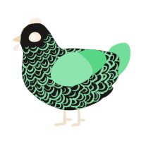 A sable and spring chicken with a double-lace pattern
