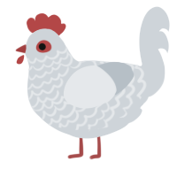 A mist chicken with a lace pattern