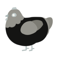 (unnamed), a black and ash chicken with a head pattern