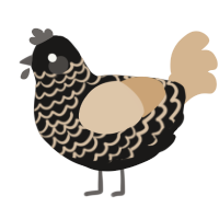 A sable and beige chicken with a lace pattern