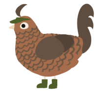 Junlei, a brown and bark chicken with a lace pattern
