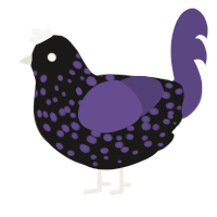 Colorata, a sable and overcast chicken with a speckle pattern