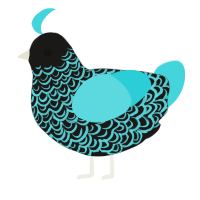 A sable and aqua chicken with a double-lace pattern