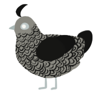 A ash and black chicken with a double-lace pattern