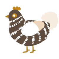 A bark and cream chicken with a bar pattern