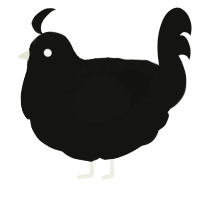 Voiden, a black chicken with a half-lace pattern