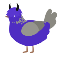 A indigo and ash chicken with a neck-speckle pattern