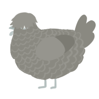 (unnamed), a ash chicken with a lace pattern