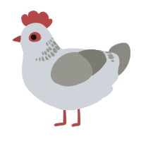 A mist and ash chicken with a neck-band pattern