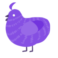 A blurple chicken with a bar pattern