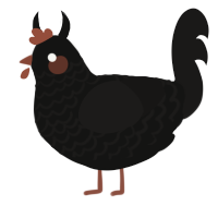 Void, a black and sable chicken with a lace pattern