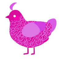 A fuchsia and orchid chicken with a double-lace pattern