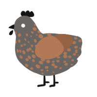 (unnamed), a grey and brown chicken with a speckle pattern