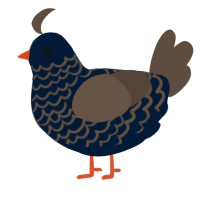 A tumblr and bark chicken with a lace pattern