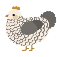 A cream and grey chicken with a lace pattern