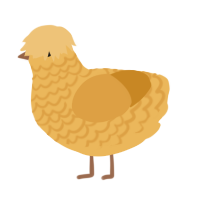 (unnamed), a honey and orange chicken with a lace pattern