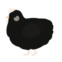 Very Big Mynah, a black and sable chicken
