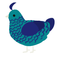 Tsunami, a teal and navy chicken with a lace pattern