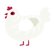 chicken, a white chicken with a half-bar pattern