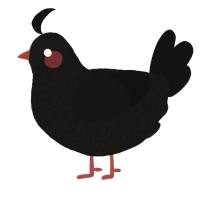 Aprils Fool, a sable and black chicken with a double-lace pattern