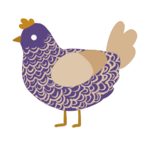 Iris, a overcast and beige chicken with a double-lace pattern