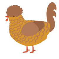 Rudra, a orange and brown chicken with a lace pattern