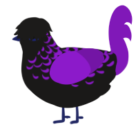 A sable and violet chicken with a half-lace pattern