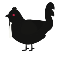 A black chicken with a half-lace pattern