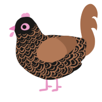 A sable and brown chicken with a double-lace pattern