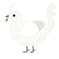 A white chicken with a lace pattern