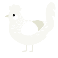 (unnamed), a white chicken with a half-lace pattern