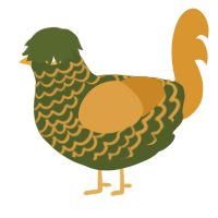 A olive and orange chicken with a lace pattern