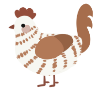 A white and brown chicken with a bar pattern