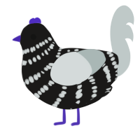 A sable and silver chicken with a bar pattern