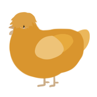A orange and honey chicken
