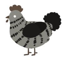 A ash and sable chicken with a bar pattern