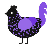 Black Sapphire, a black and blurple chicken with a speckle pattern