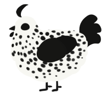 daisy, a white and black chicken with a speckle pattern