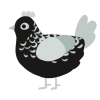 A sable and silver chicken with a half-lace pattern