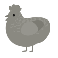 A ash chicken with a half-lace pattern