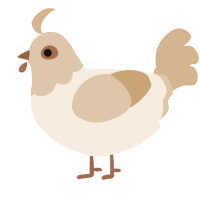(unnamed), a cream and beige chicken with a head pattern