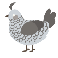 A mist and grey chicken with a lace pattern