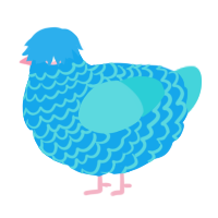 (unnamed), a sky and aqua chicken with a lace pattern